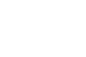 logo-_0000s_0000_gildan-logo-png_seeklogo-301823