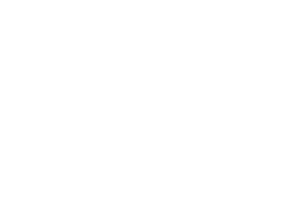 logo-_0000s_0003_logo_2_5